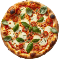 Capricorno